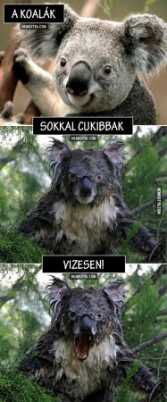 cuki :D