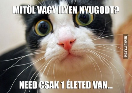 de azt jól használom!