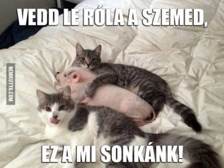sonka