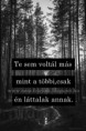 /album/fenykepgaleria/forest-iphone-wallpaper-favim-com-1805317-jpg/