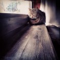 /album/fenykepgaleria/a18581111-3b0c9a3aa757e71877d9514e51d999d8-l-jpg/