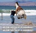 /album/fenykepgaleria/a460-93598-valami-hozzaert-a-labamhoz-jpg/