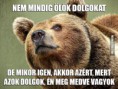 /album/fenykepgaleria/a460-97620-medve-jpg/
