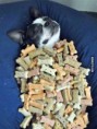 /album/fenykepgaleria/a460-97707-a-megtestesult-boldogsag-jpg/