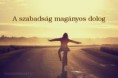 /album/fenykepgaleria/tumblr-m5esk8royn1rx00z7o1-500-jpg/