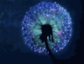 /album/fenykepgaleria/glowing-flower-317-gif/
