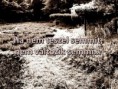 /album/fenykepgaleria/http-3a-2f-2f31-media-tumblr-com-2f2d3bd68005e2757918555929d95071d7-2ftumblr-mtu1rzgsr01raekmdo1-500-jpg/