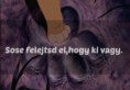 /album/fenykepgaleria/a10857808-773260092757261-6113832166991546215-n-jpg/