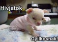 /album/fenykepgaleria/a10868088-832764526774535-2743768956268162871-n-jpg/