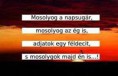 /album/fenykepgaleria/tumblr-nhb8emzz9d1u26ylqo1-250-jpg/
